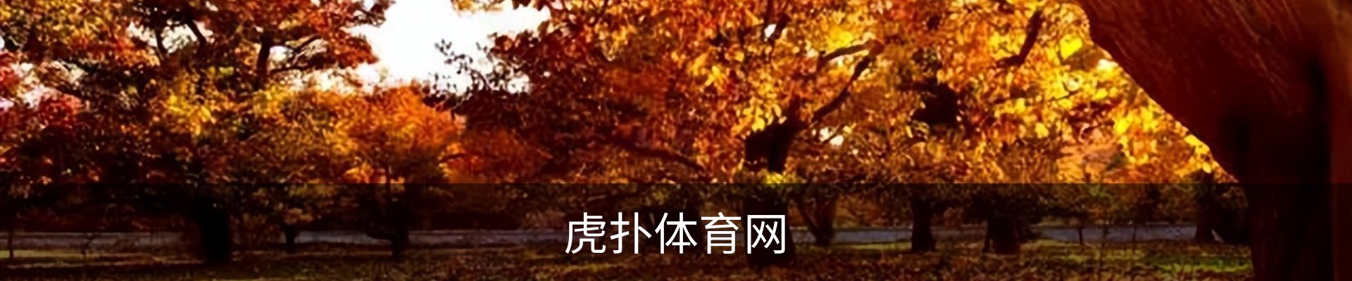 内页banner